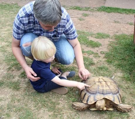 Devon Days Out: Powderham Castle