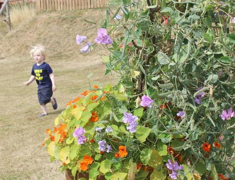 Devon Days Out: Powderham Castle