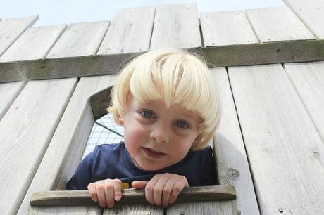 Devon Days Out: Powderham Castle