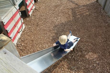 Devon Days Out: Powderham Castle