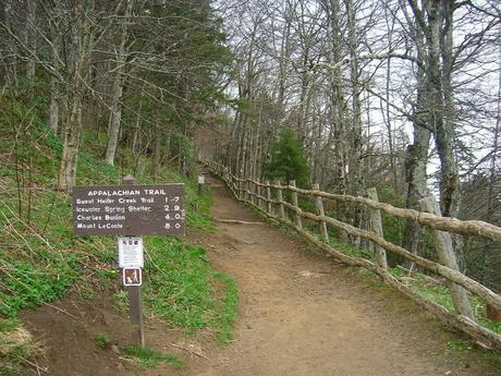 Best Hiking Trail – Is Hiking Good For Smokers?