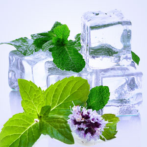 Spearmint Fragrance Oil