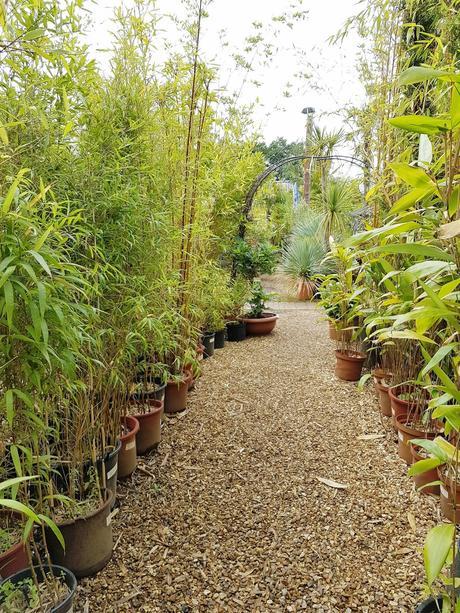 AKAMBA GARDEN CENTRE | A DAY OUT