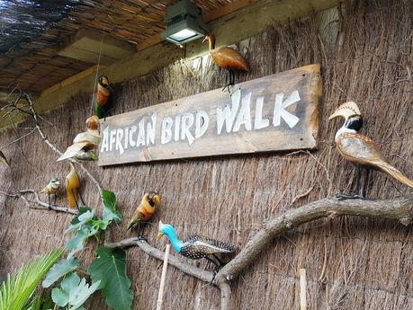 AKAMBA GARDEN CENTRE | A DAY OUT
