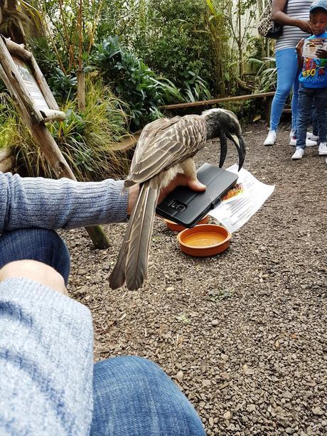 AKAMBA GARDEN CENTRE | A DAY OUT