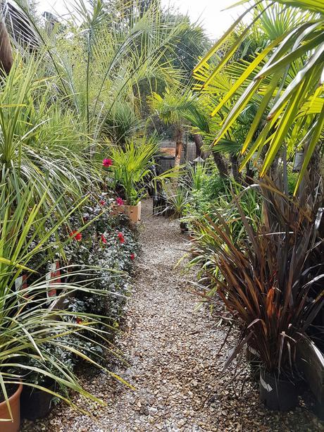 AKAMBA GARDEN CENTRE | A DAY OUT