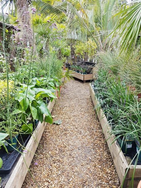 AKAMBA GARDEN CENTRE | A DAY OUT