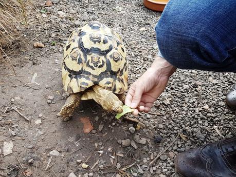 AKAMBA GARDEN CENTRE | A DAY OUT