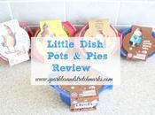Little Dish Pots Pies Review