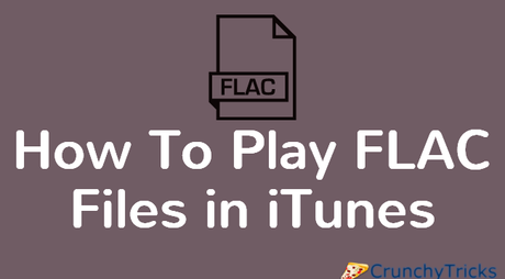 {Tutorial} How to Play FLAC Files in iTunes [3 Solutions]