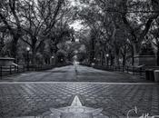 Central Park’s Literary Walk