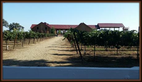 Oak-Farm-Vines