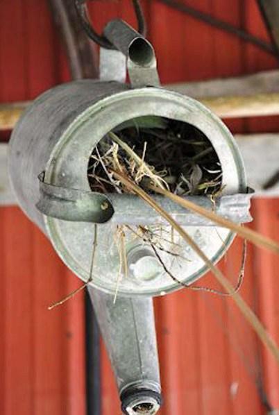 Birdhouse Made From a Watering Can