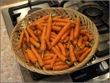 More Finger Carrots