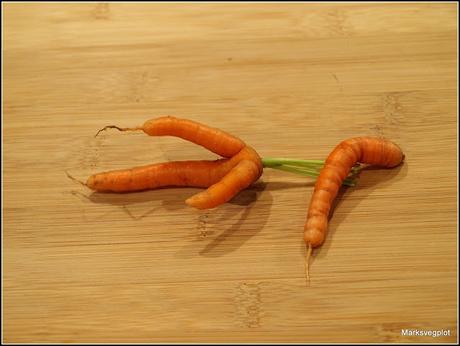 More Finger Carrots