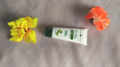 Herbs & More Vitamin Therapy Face Cream Review