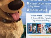 #Disney #DogDaysOfSummer #Sweepstakes #win #dogs