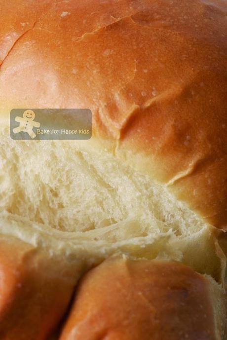 American honey sandwich bread Cook's Illustrated