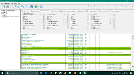 Now Manage Your Files Better With Directory Lister