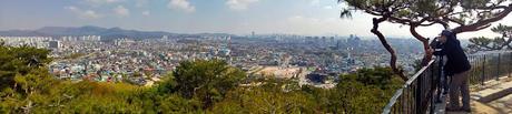 Day Trip to Suwon City in Gyeonggi Province