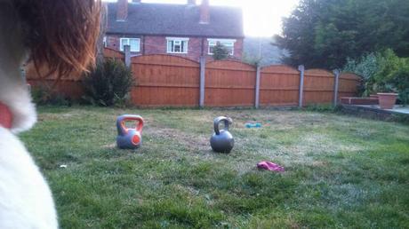 How I lost Half a Stone by Accident garden