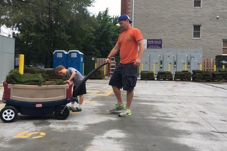 Take a Piece of Wrigley Field Home With You, Literally wrigley field sod