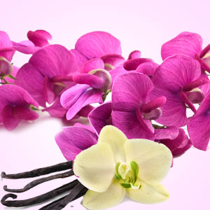 Sweet Pea Vanilla Fragrance Oil