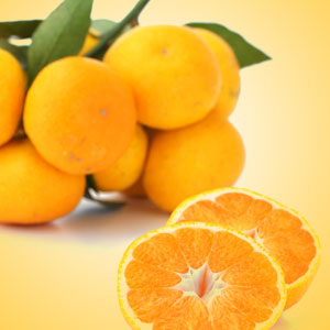 Satsuma Fragrance Oil