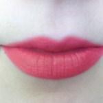 Manna Kadar Lip Crayon on lips