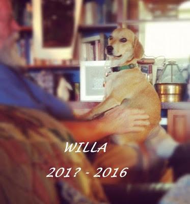 Willa ~ 201? -2016 . . .