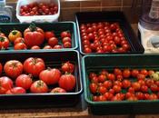 Harvest Monday September 2016