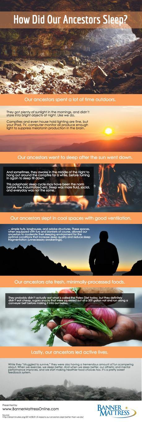 how did cavemen sleep infographic