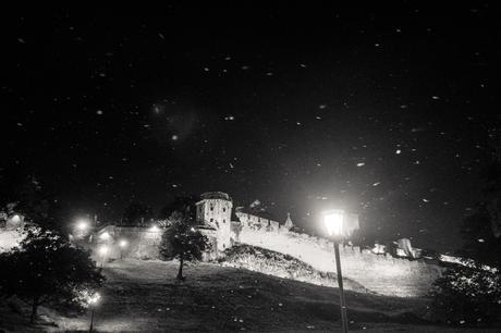 Sometimes it Snows in May...actually white fluffy stuff being blown off the trees.