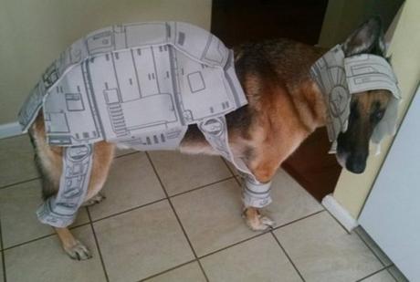 Star Wars: AT-AT Walker Dog Costume Fail