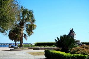 seaside-park-in-charleston-south-carolina