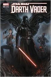 Darth Vader #25 Cover - Granov Variant