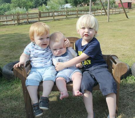 Siblings In September