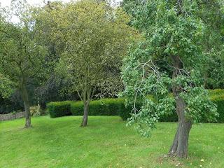 The Norbury Knot Garden