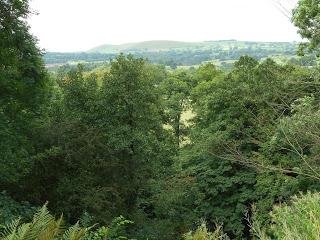 The Norbury Knot Garden