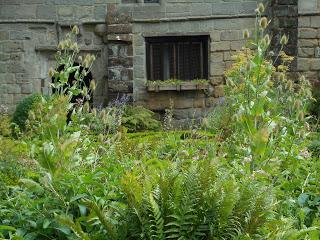 The Norbury Knot Garden