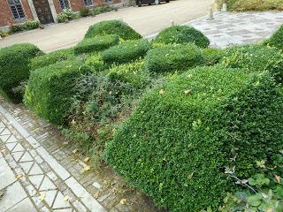 The Norbury Knot Garden