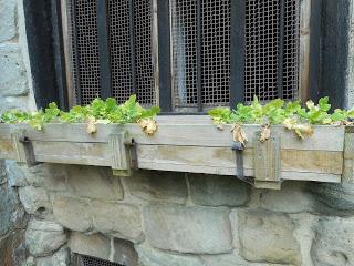 The Norbury Knot Garden