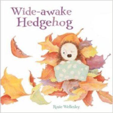 Wide-Awake Hedgehog – An Autumnlicious Book
