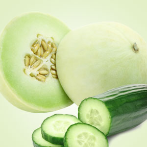 NG Cucumber Melon Type Fragrance Oil