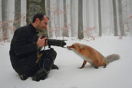 animal-photography