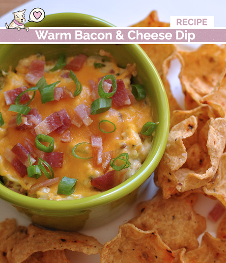 warm-bacon-cheese-dip-recipe
