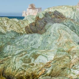 Obsession Pan-di-Zucchero _dsc6271