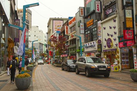 An Abundance in Busan