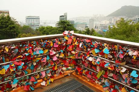 An Abundance in Busan