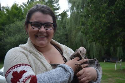 #Repopulating #RidleyBronze: Raising #endangered #turkeys is more fun than work